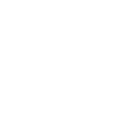 sun (1)